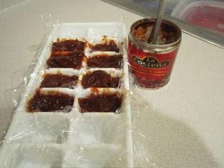 Good Idea: Chipotle Ice Cubes